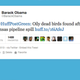 Illustration for article titled 19 Tweets From The Audubon Society/Barack Obama Twitter Feud